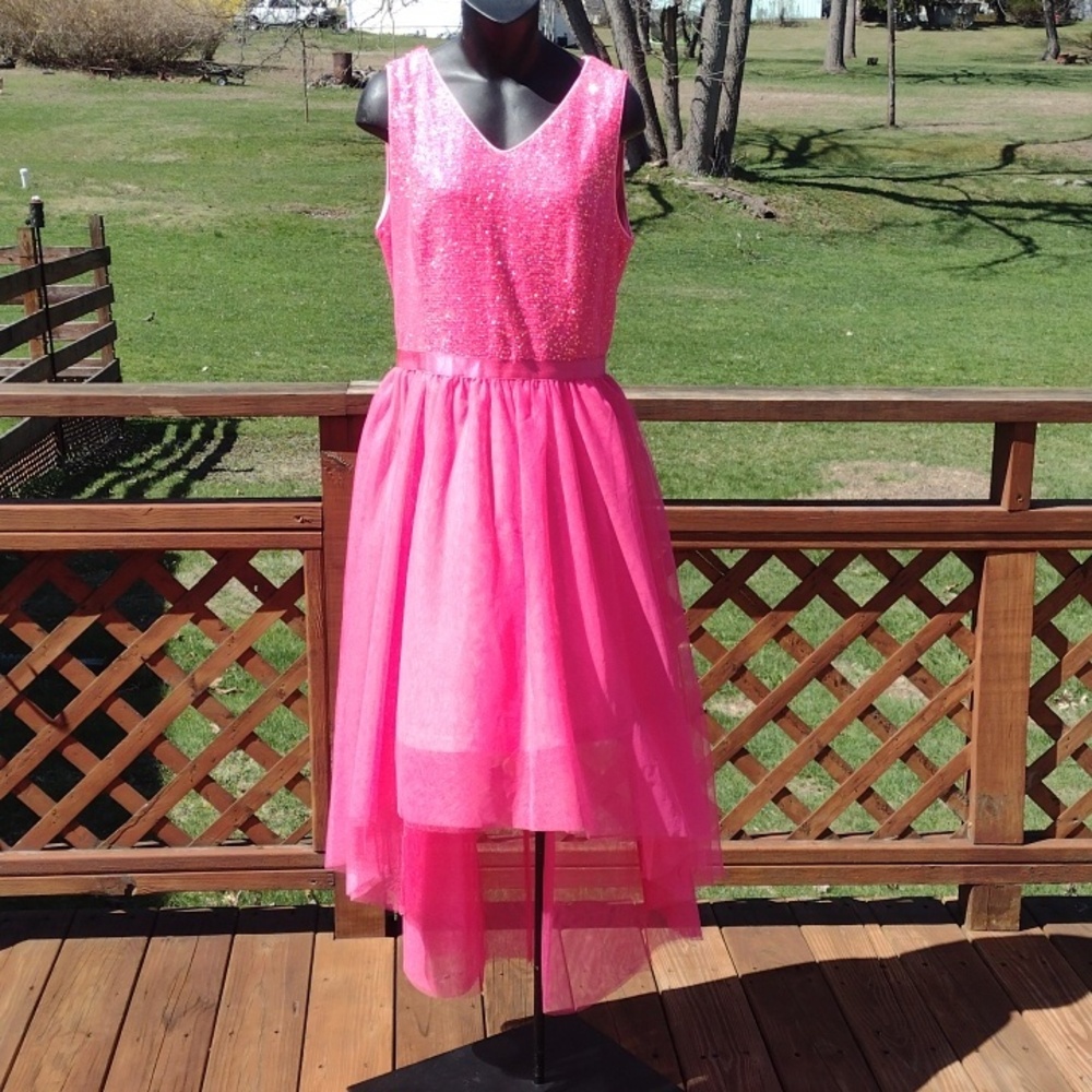 Bery Love Hot Pink Sleeveless Sequin and Tulle Dress Size Large New